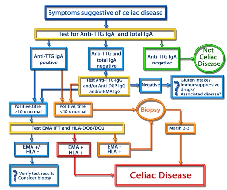 Sistema de diagnóstico para pacientes com sintomas sugestivos de doença celíaca